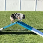 Dog Agility A Frame Benefits Dog Equipment