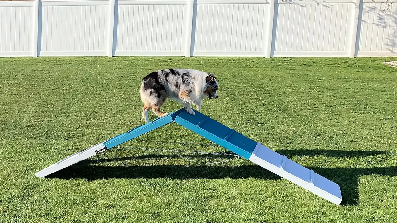 Dog Agility A Frame Benefits Dog Equipment