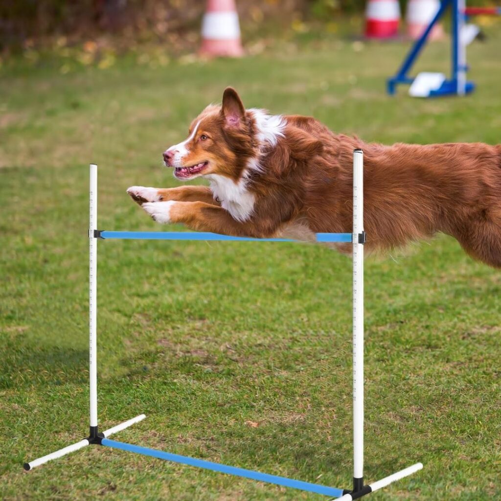 Dog Agility Equipment Bar Jump Img2 Dog Equipment