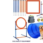 Dog Agility Equipment Featured Img Dog Equipment