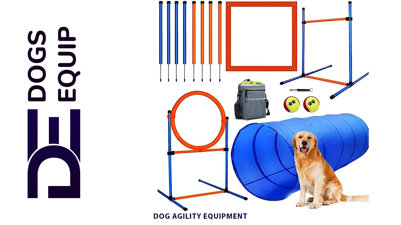 Dog Agility Equipment Featured Img Dog Equipment