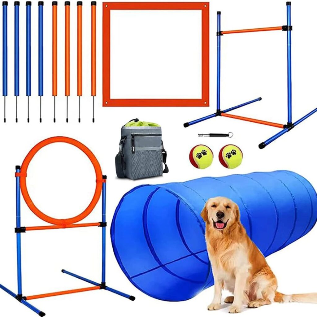 Best Dog Agility Equipment Featured Image