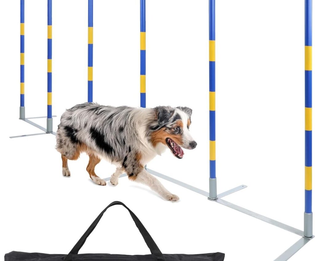 Dog Agility Equipment Weaving Poles Dog Equipment