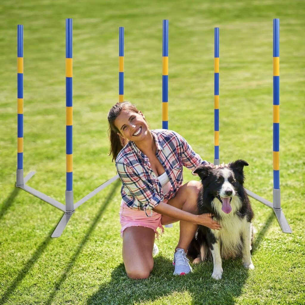 Dog Agility Equipment Weaving Poles Img2 Dog Equipment