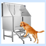 Dog Grooming Tub Featured Image