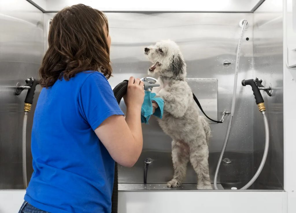 Dog Grooming Tub Image 16 Dog Equipment